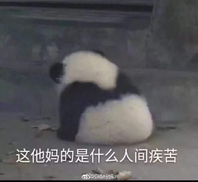 石楠的味道（石楠花的味道像什么）