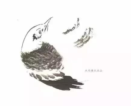 分步骤详解，写意翎毛基本画法，从结构到姿态，跟着学有大收获