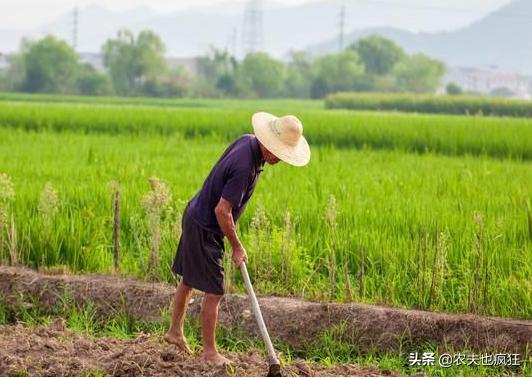 入伏从哪天算起（2020年哪天入伏）
