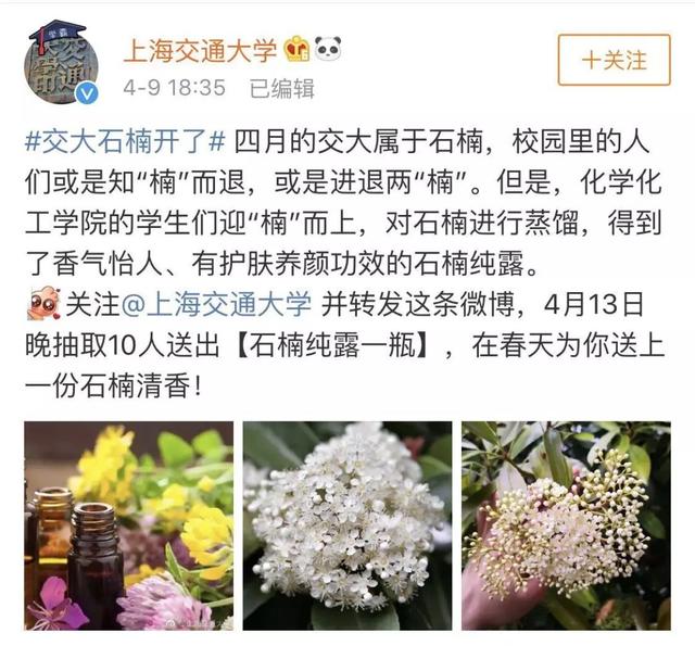 石楠的味道（石楠花的味道像什么）