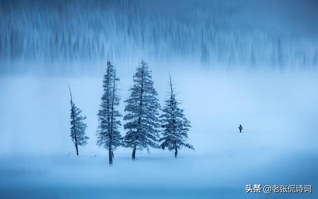 折柳的寓意是什么(前人说折柳二字是全诗的关键 )