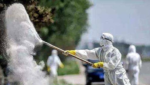 生石灰是什么(生石灰什么时候撒最合适)