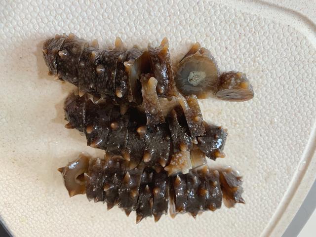 葱烧海参做法（家庭版葱烧海参的做法）