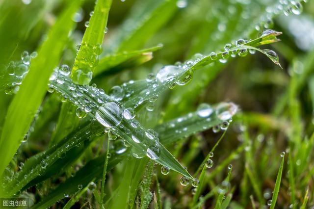 自来水养鱼怎么才不死？自来水养鱼怎么处理水