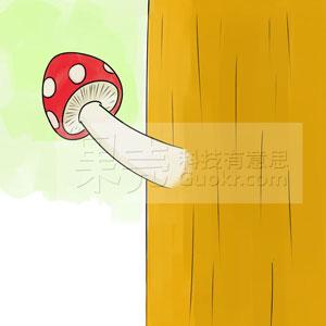 性取向是什么意思（ 性取向不正常的预兆）