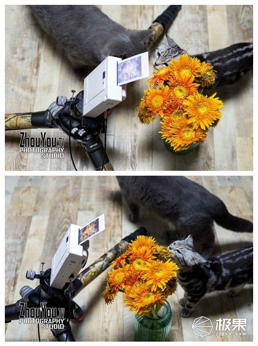 拍立得怎么用（拍立得怎么装相纸）