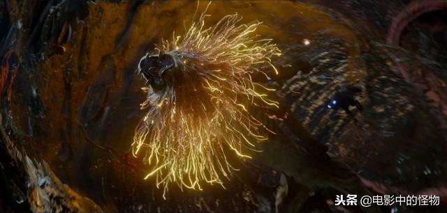 驺吾是什么动物（神兽为什么称驺吾为仁兽）