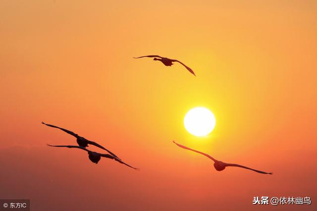 常说“人心不古”，却不知古人之心