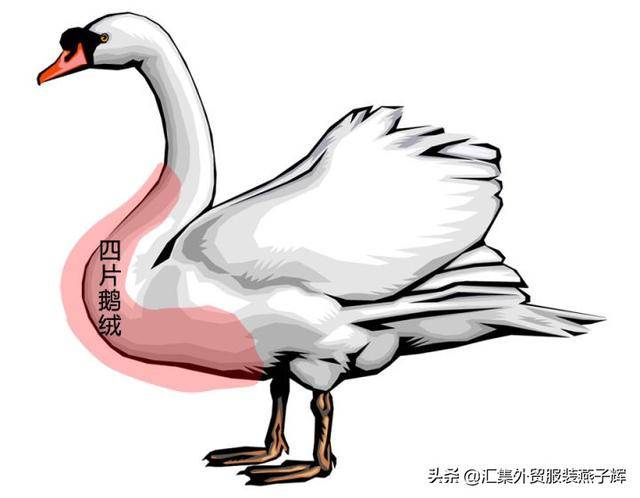 moncler是什么牌子(moncler是什么档次)