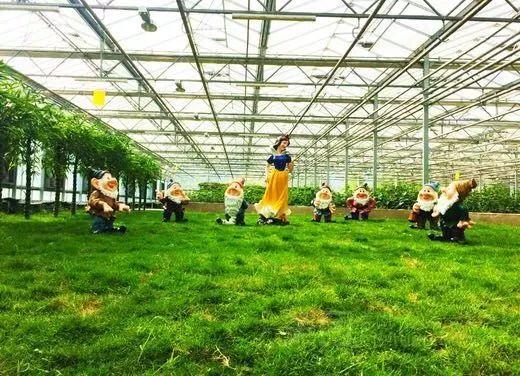 北川维斯特农业观光园好玩吗?休闲旅游酒店!