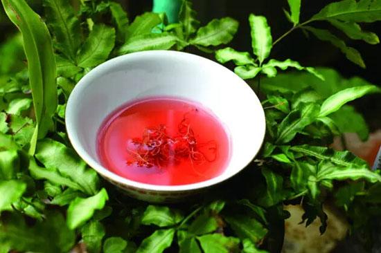 红雪茶的功效与作用（正确的冲泡方法）