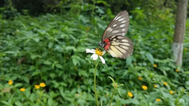 七情六欲什么意思（七情六欲指的是什么）