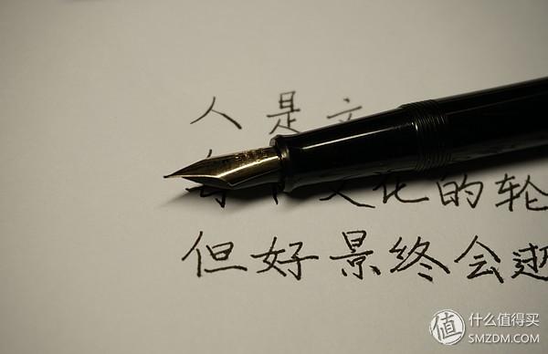 林美钢笔(凌美钢笔属于什么档次)