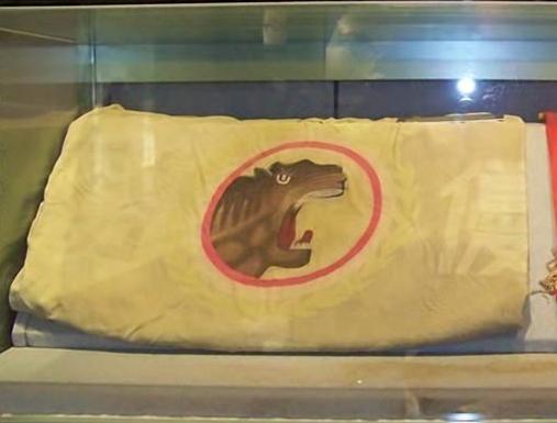 番号怎么使用？别让电影把你骗了！