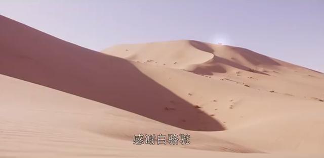 精绝古城最后结局解析 精绝古城结局官方解释