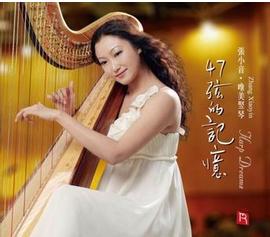 竖琴好学吗前景如何（竖琴为什么很少人学）