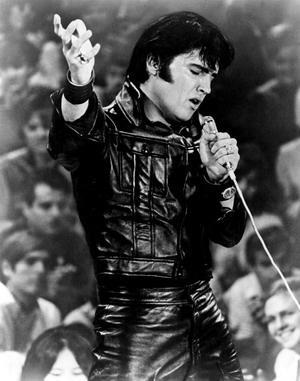 猫王怎么死(猫王之死的真正原因)