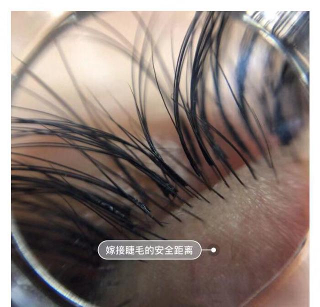 嫁接睫毛多少钱（嫁接睫毛后注意事项及保养）