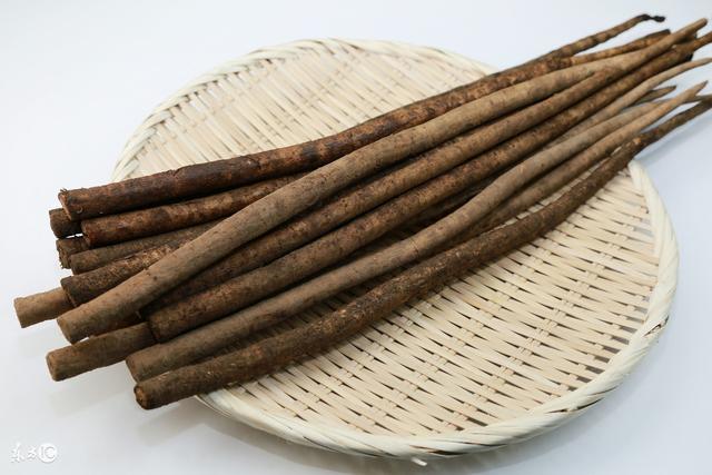 牛蒡根的功效与作用（牛蒡茶副作用太坑爹了）