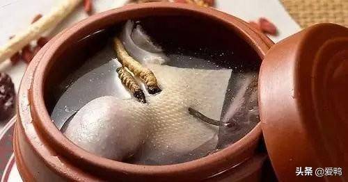 虫草的最佳吃法（虫草泡水一次几根）