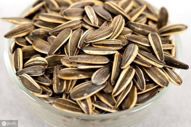 生葵花籽的功效与作用（生葵花籽的禁忌人群）