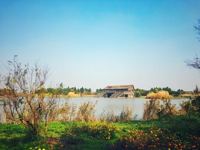 崇明岛有什么好玩的（崇明一日游旅游攻略）