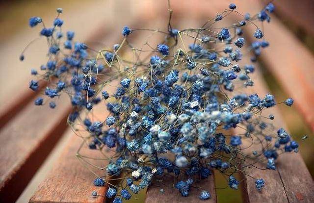 如何制作干花不变色(自制干花最快的方法)