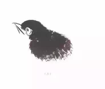 分步骤详解，写意翎毛基本画法，从结构到姿态，跟着学有大收获