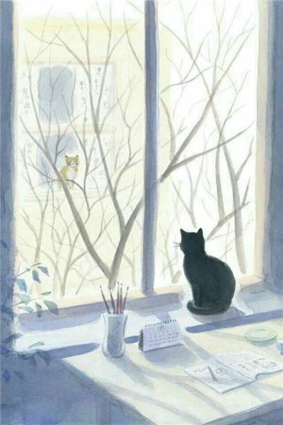 聊天背图片大全霸气 个性聊天背图片高清图片