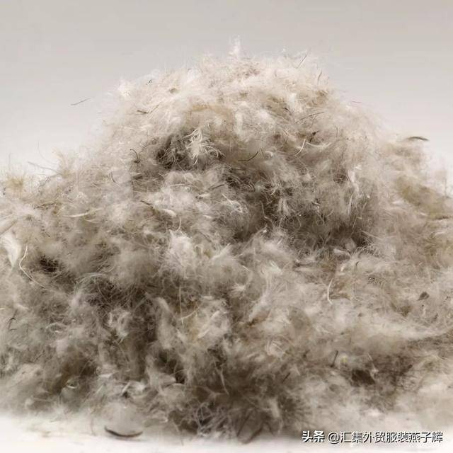 moncler是什么牌子(moncler是什么档次)