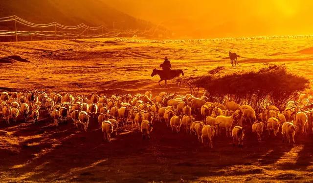 六字真言是什么意思（六字真言的作用和好处）