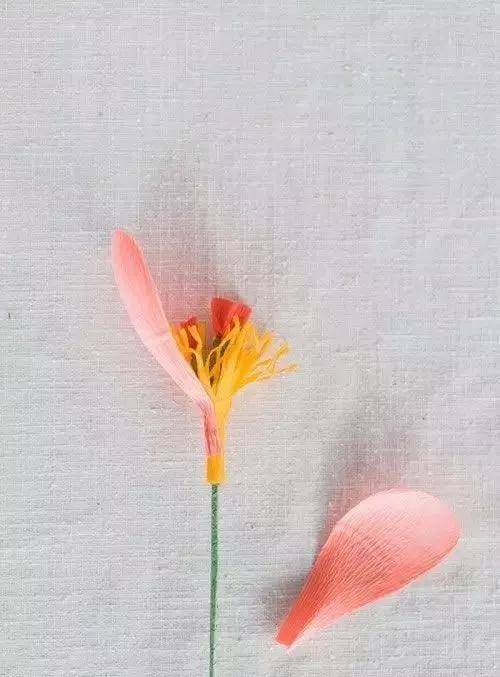 纸花怎么折简单又好看（纸花的折法图解）