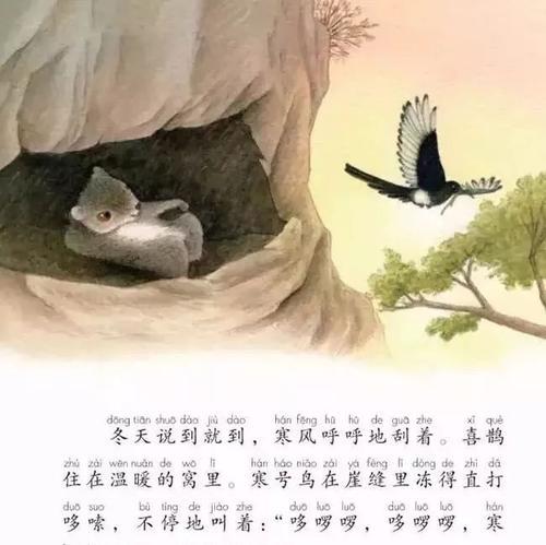 陕西天坑群发现飞鼠，一跳可飞百米远，原来它就是传说中的寒号鸟