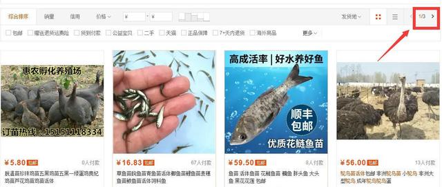 创新创业金点子(大学生创业金点子)