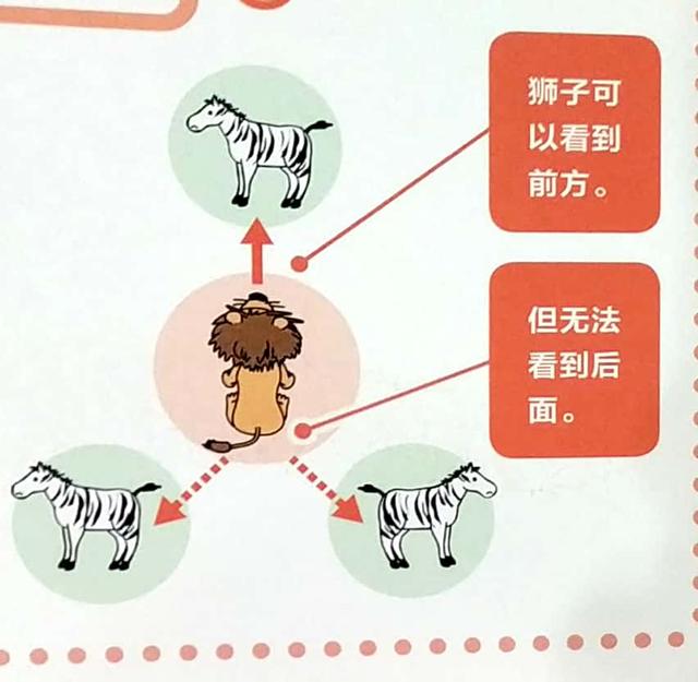 扇贝的眼睛能吃吗？扇贝的眼睛在哪？