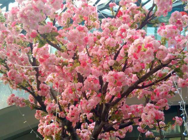 绵阳市一日游最佳景点(绵阳周边踏青好玩的地方)