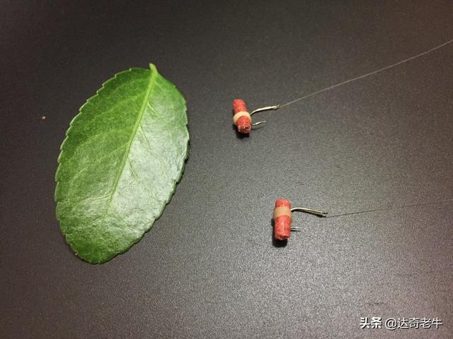 红虫颗粒怎么挂钩图解(红虫穿钩技巧)