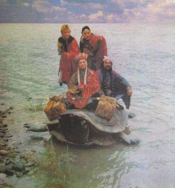 中华斑鳖灭绝了吗?中华斑鳖多少钱一只