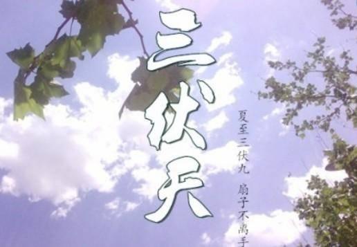 三伏天从什么时候开始（为什么三伏天有30-40天）