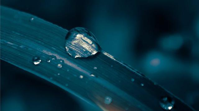 玉阶生白露,夜久侵罗袜。就叫白露生吧!