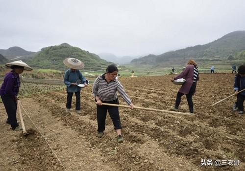 发家致富好** 农村可以做什么发家致富