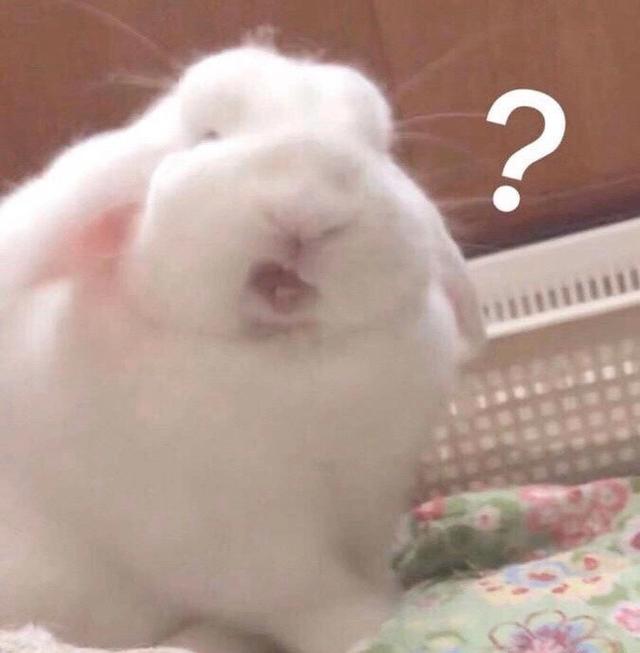 代沟什么意思（男女之间的代沟是什么）