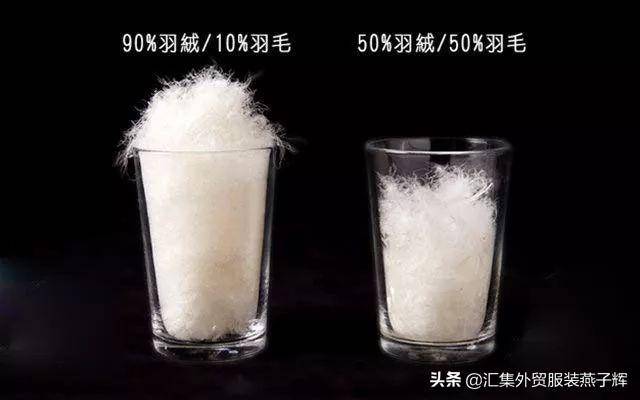 moncler是什么牌子(moncler是什么档次)