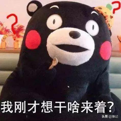 骑驴找驴怎么意思(骑驴找驴的成语故事)