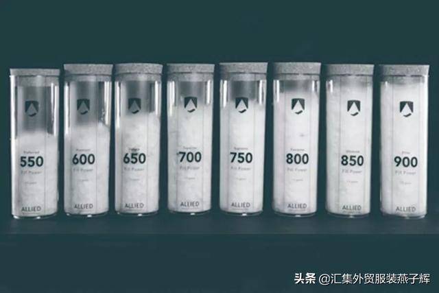 moncler是什么牌子(moncler是什么档次)