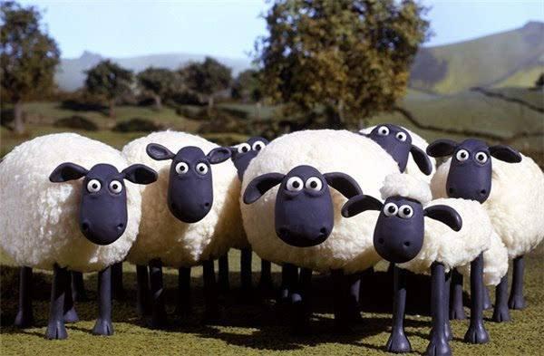 试客联盟靠谱吗？试客联盟真的会返现吗