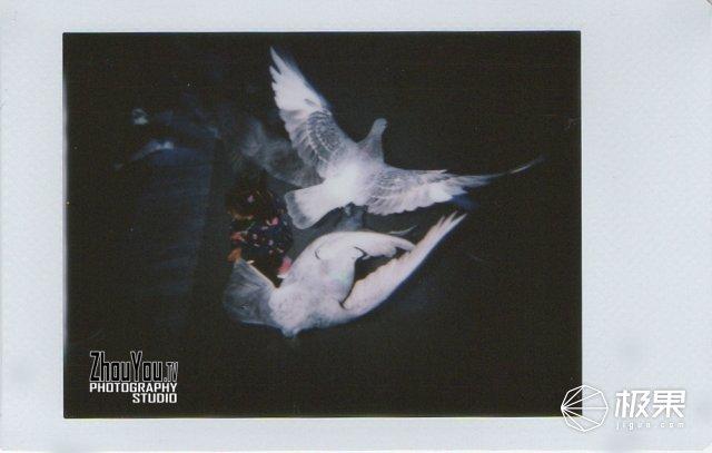 拍立得怎么用（拍立得怎么装相纸）