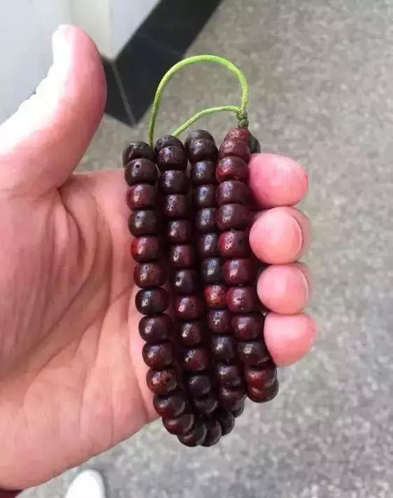 教你做条朱砂供玩玩！