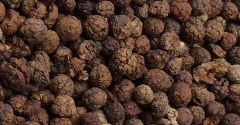 草寇的功效与作用及食用方法