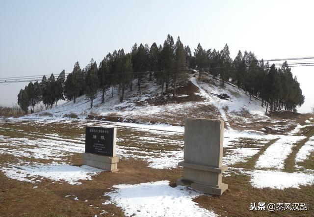 唐武宗李炎是以什么身份即皇位的(他的妃子是谁)